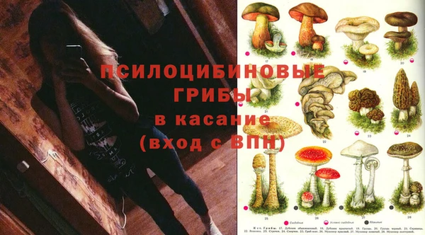 мдпв Киреевск