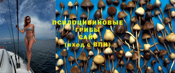 дживик Козловка
