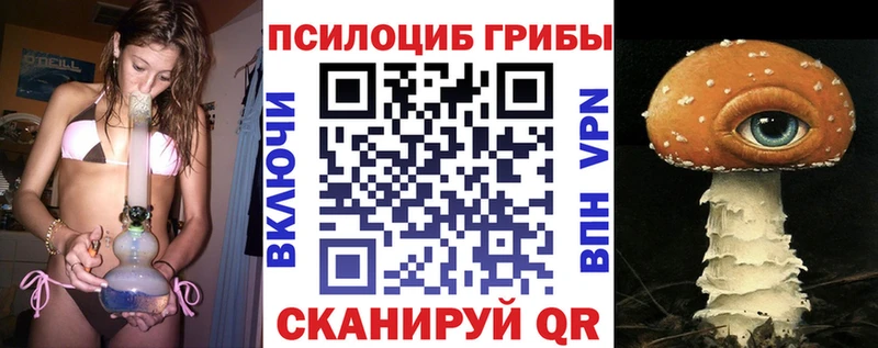 Галлюциногенные грибы GOLDEN TEACHER  Купить где  Кизляр 