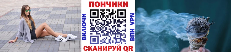 Купить  Кизляр  Бошки марихуана OG Kush 